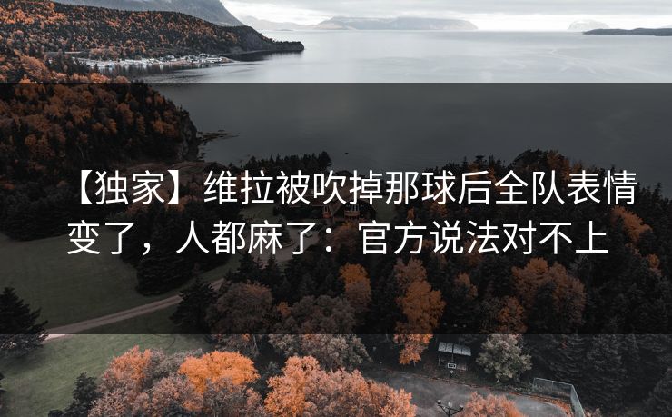 【独家】维拉被吹掉那球后全队表情变了，人都麻了：官方说法对不上