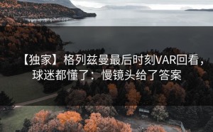【独家】格列兹曼最后时刻VAR回看，球迷都懂了：慢镜头给了答案