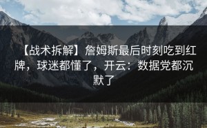 【战术拆解】詹姆斯最后时刻吃到红牌，球迷都懂了，开云：数据党都沉默了