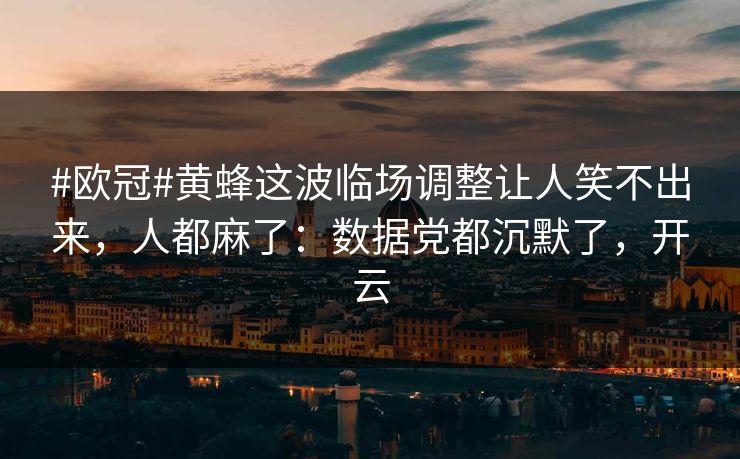 #欧冠#黄蜂这波临场调整让人笑不出来，人都麻了：数据党都沉默了，开云